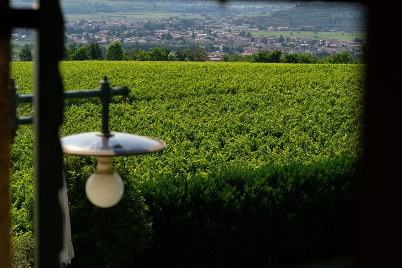 Chata Villa Vitis Negrar