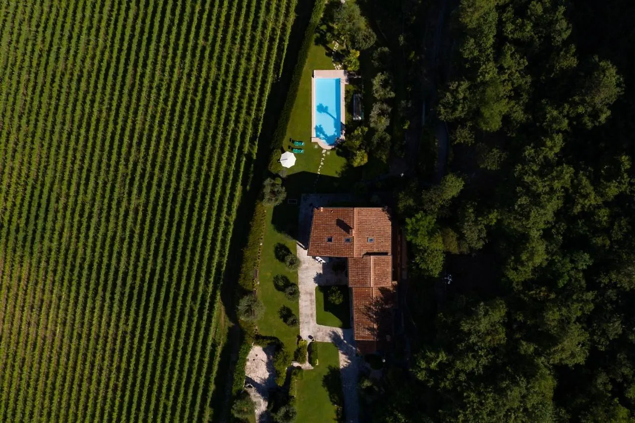 Villa Vitis Negrar Italy